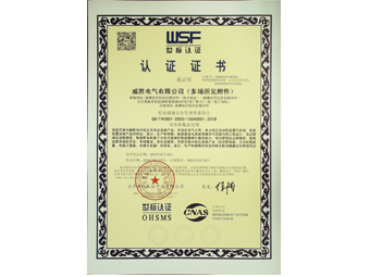 威胜电气职业健康安全管理体系证书